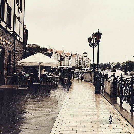 Гостиница KoikaGo Калининград-20