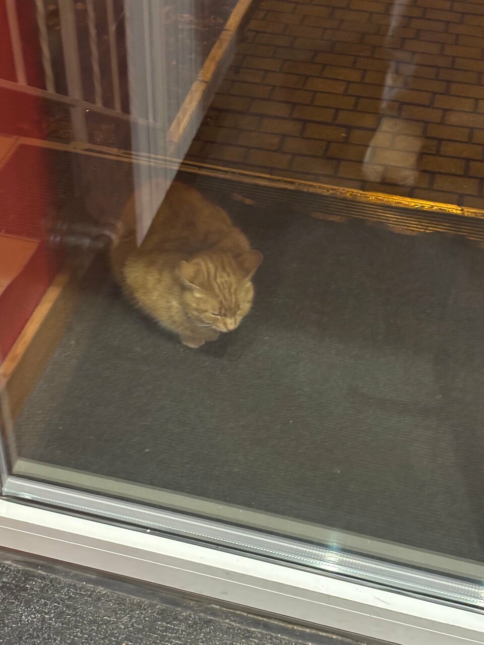 Гостиница KoikaGo Калининград-27