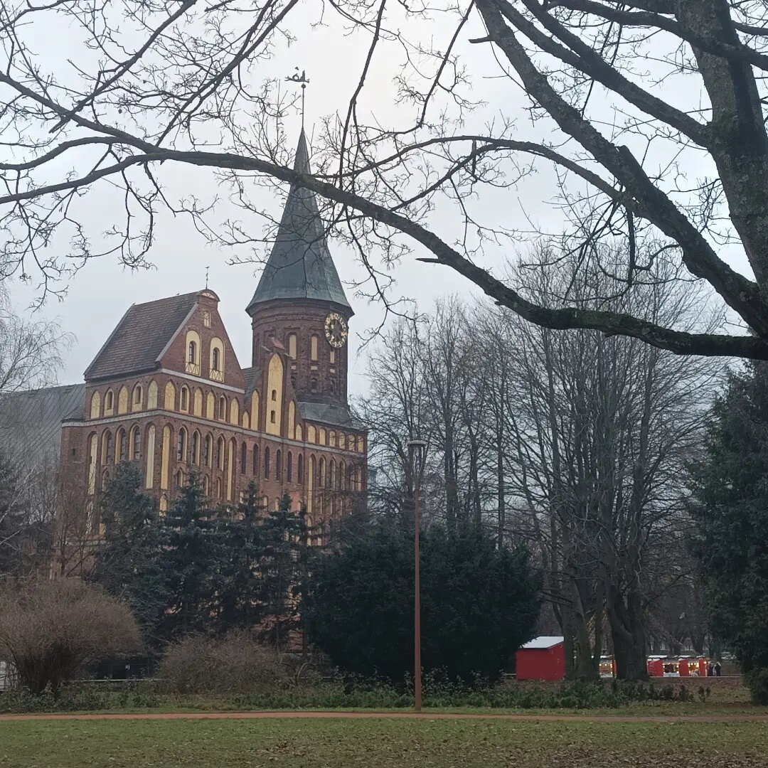 Гостиница KoikaGo Калининград-15