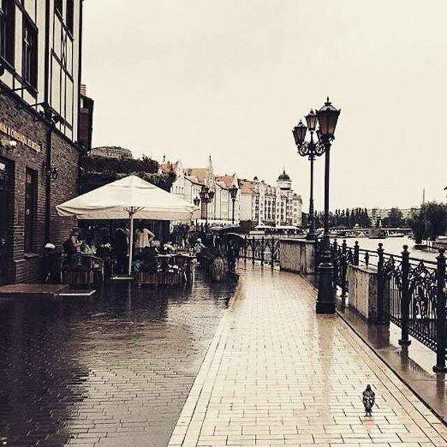 Гостиница KoikaGo Калининград-19