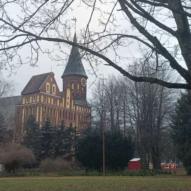 Гостиница KoikaGo Калининград-14