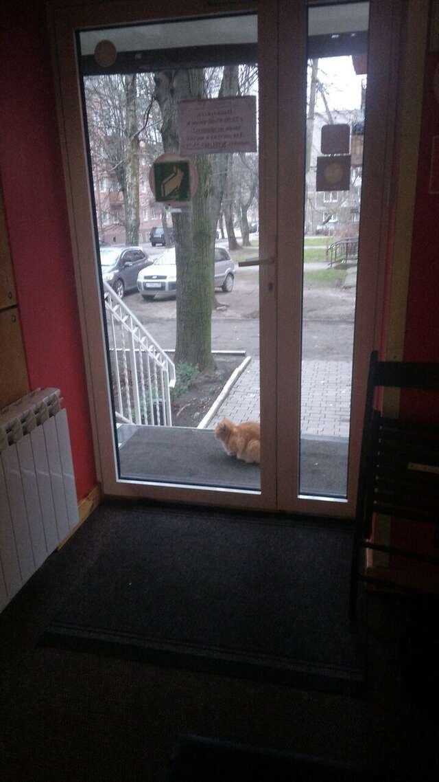 Гостиница KoikaGo Калининград-70